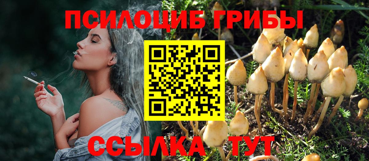 Псилоцибиновые грибы прущие грибы Протвино