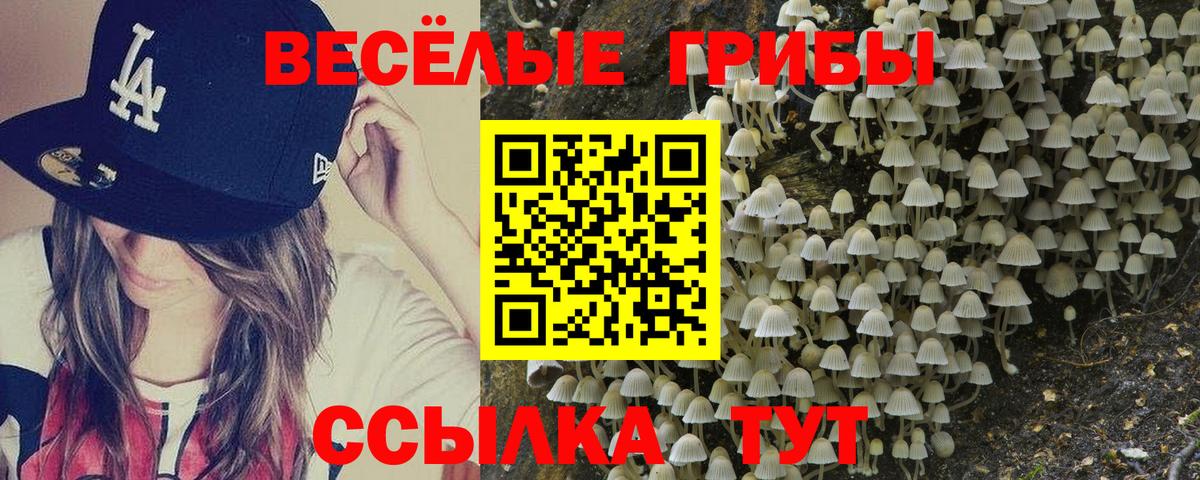 Протвино  Галлюциногенные грибы Magic Shrooms  Вход с VPN 