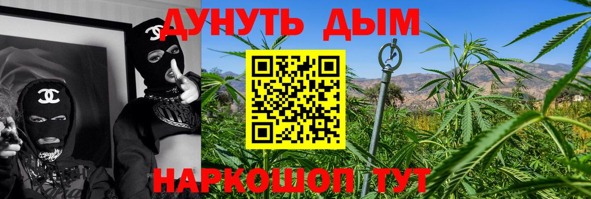 Бошки Шишки сатива Протвино